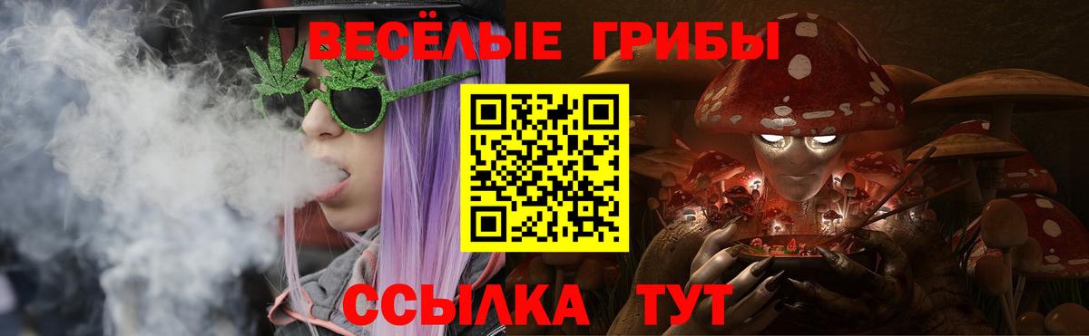 Галлюциногенные грибы мицелий  купить наркоту  Вход с VPN  Бийск  Псилоцибиновые грибы ЛСД 